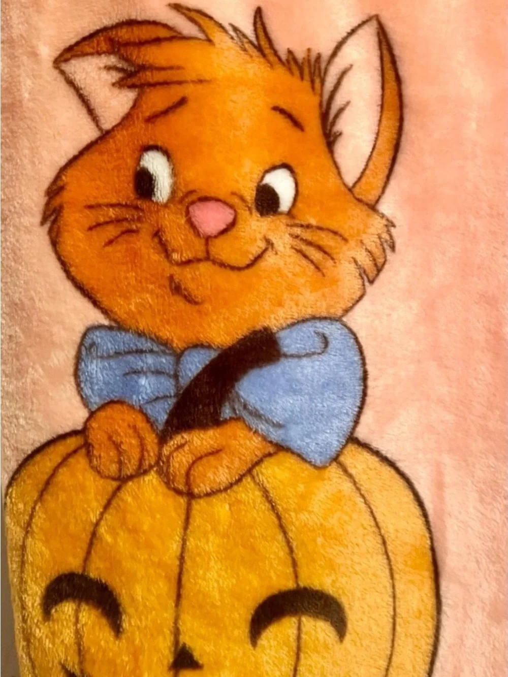 Disney Pink Pumpkin Character Plush Throw Blanket
